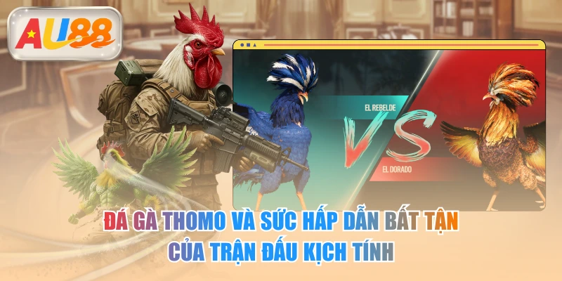 Đá Gà Thomo Và Sức Hấp Dẫn Bất Tận Của Trận Đấu Kịch Tính